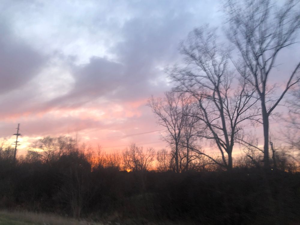 I pink, purple, and orange sunset sweeps behind some backlit trees. 