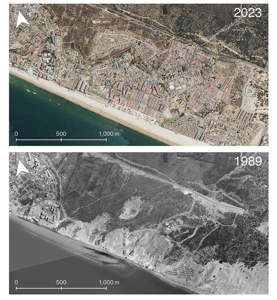 Evolution of a coastal urbanization besides Doñana. The urbanization relies on groundwater abstraction for human supply of ~300,000 tourists during summer.