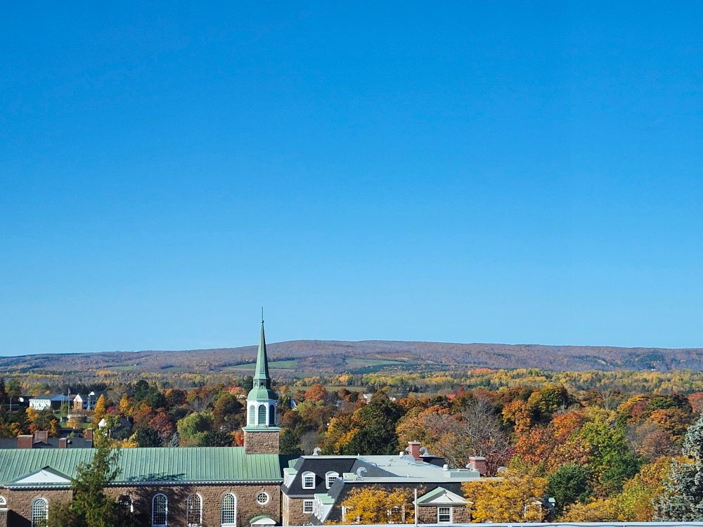 Blue sky with autumn leaves.