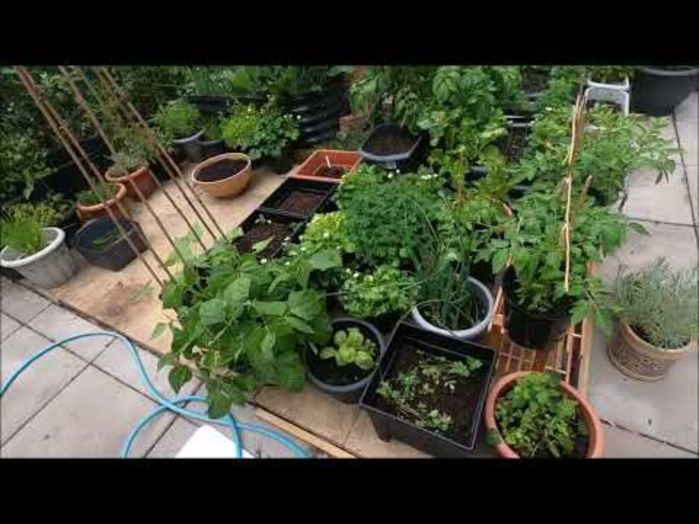 Fight back and grow your own Food!