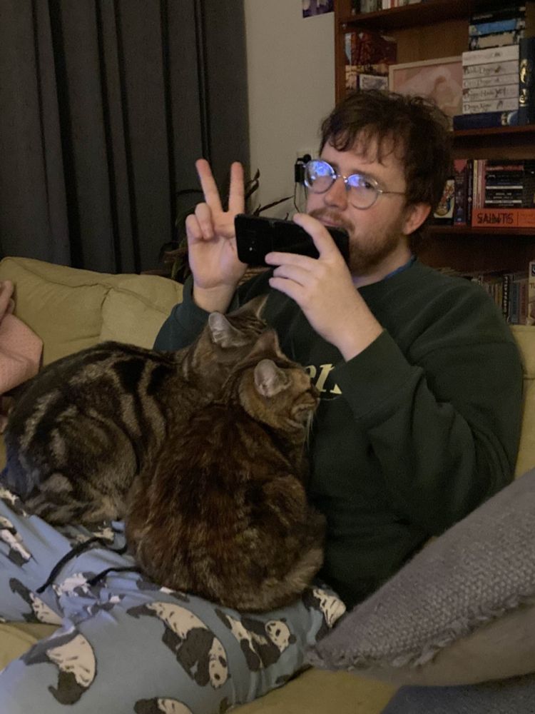 two safe warm snug cats on me