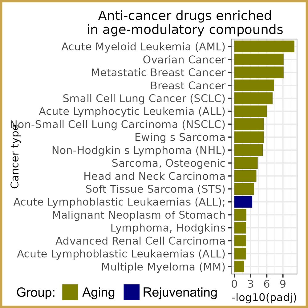 Horizontal bar chart: anti-cancer drugs enriched among pro-ageing hits; AML bar tallest, most other cancers show similar trend.