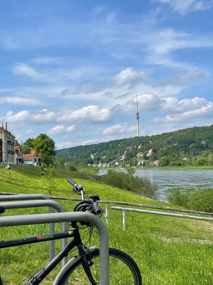 River elbe with green shores and TV tower