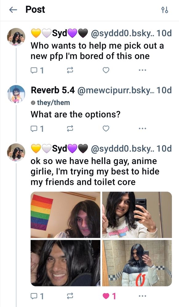 Syd: Who wants to help me pick out a new pfp I'm bored of this one

Reverb: What are the option?

Syd: OK so we have hella gay, anime girlie, I'm trying my best to hide my friends and toilet core
*4 pictures are posted*