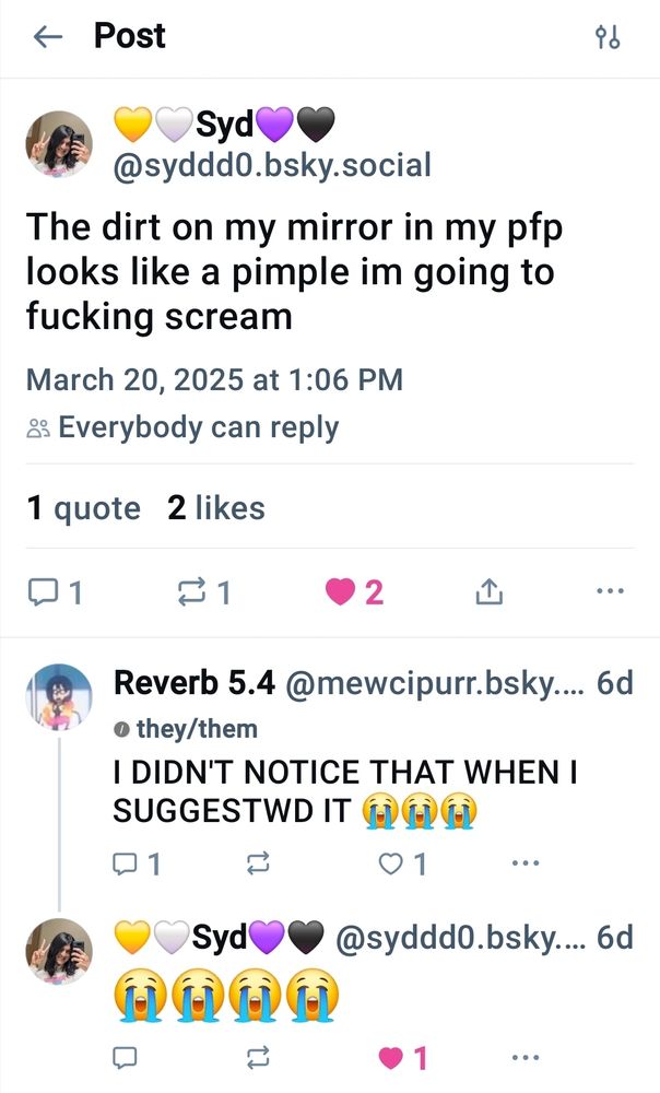 Syd: The dirt in my mirror in my pfp looks like a pimple I'm going to fucking scream

Reverb: I DIDN'T NOTICE THAT WHEN I SUGGESTWD IG 😭😭😭

Syd: 😭😭😭😭