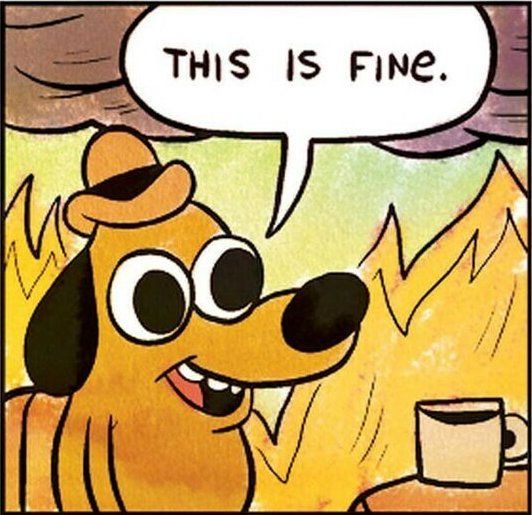 Cartoon of dog with a hat, sitting at a table with a mug of coffee. A fire is consuming in the room behind them, and smoke fills the air. The dog says, "This is fine."