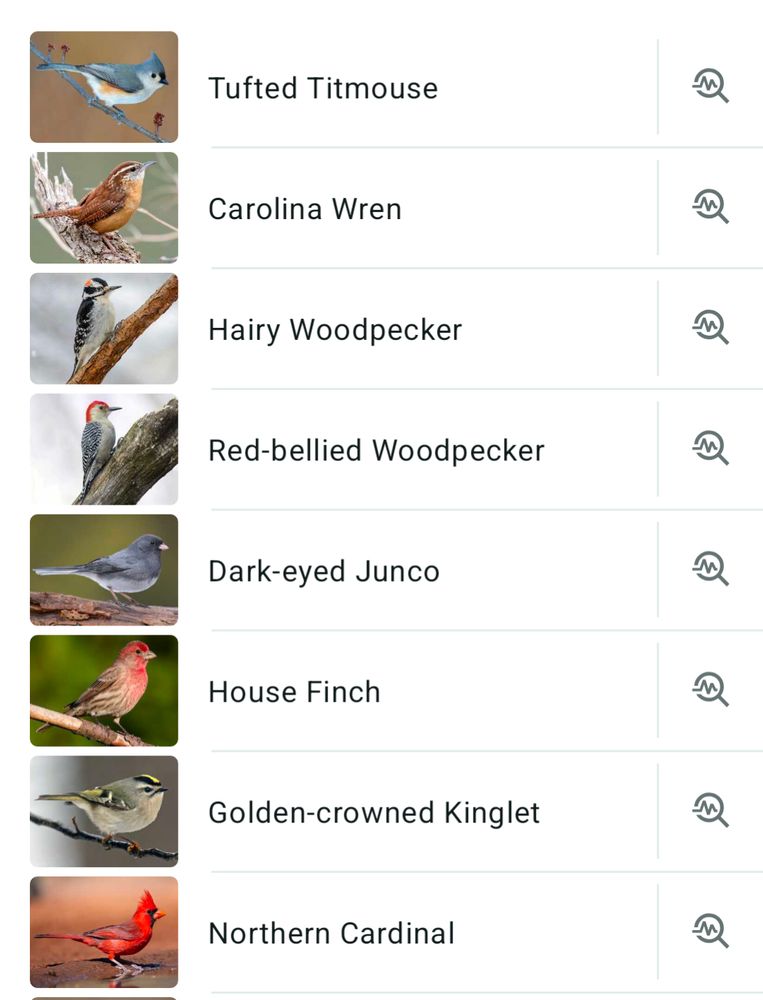 Tufted Titmouse  Carolina Wren  Hairy Woodpecker  Red-Bellied Woodpecker  Dark-eyed Junco  House Finch  Golden-crowned Kinglet  Northern Cardinal
