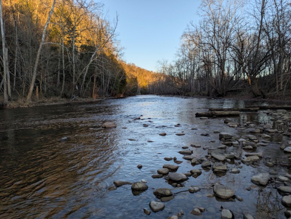 South Fork Holston River at sunset, from rocks in the middle. Evening sun still on the tree tops