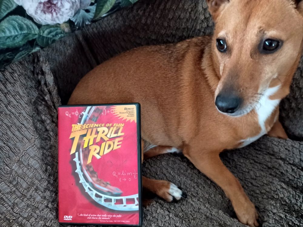 A DVD copy of "Thrill Ride: The Science of Fun" leaning against a mildly confused looking dog.