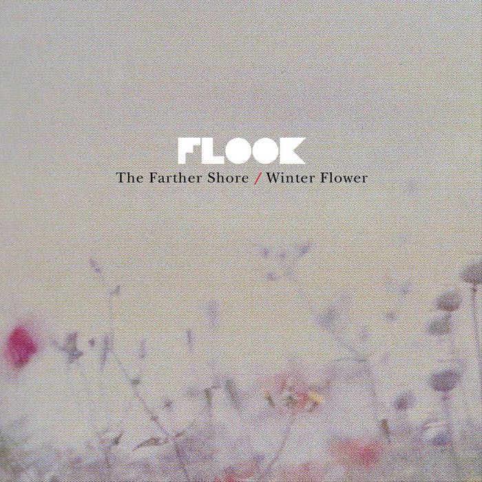 Cover art for The Farther Shore / Winter Flower by Flook. Blurred image of flowers against a warm grey background.