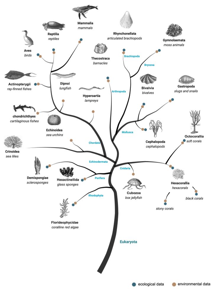 Stylized tree of life diagram that demonstrates the range of useful chemical data that can be extracted from 19 classes of organisms. 