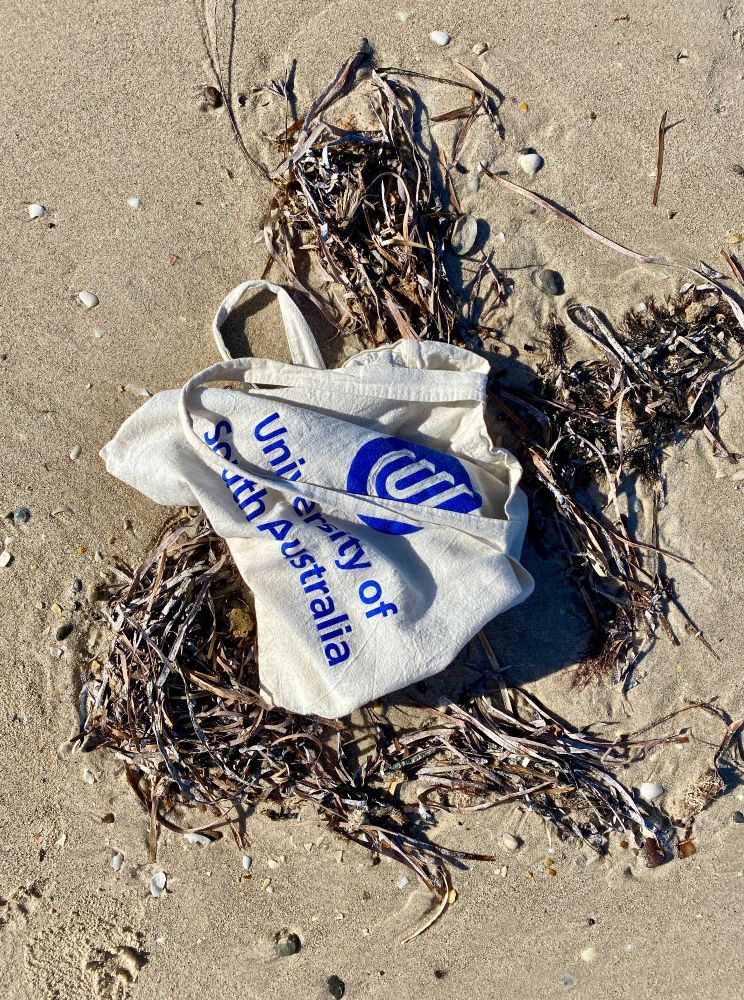 A tote bag sitting on the beach with the inscription "University of South Australia"