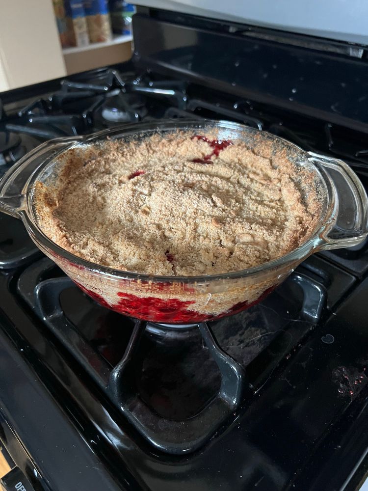 Circular pie in a glass bowl with cranberries, crumbly crust and no Epstein files. 