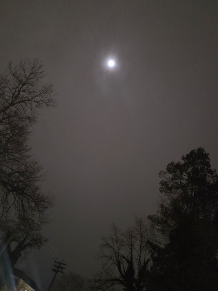 Shots of the full moon I took