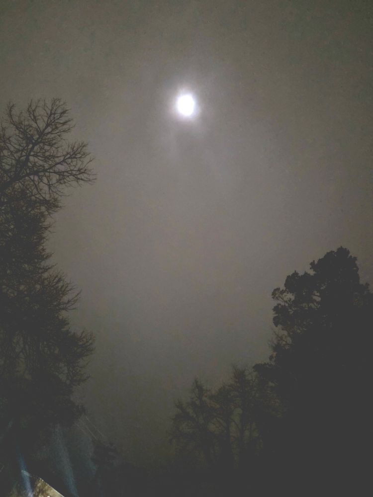 Shots of the full moon I took