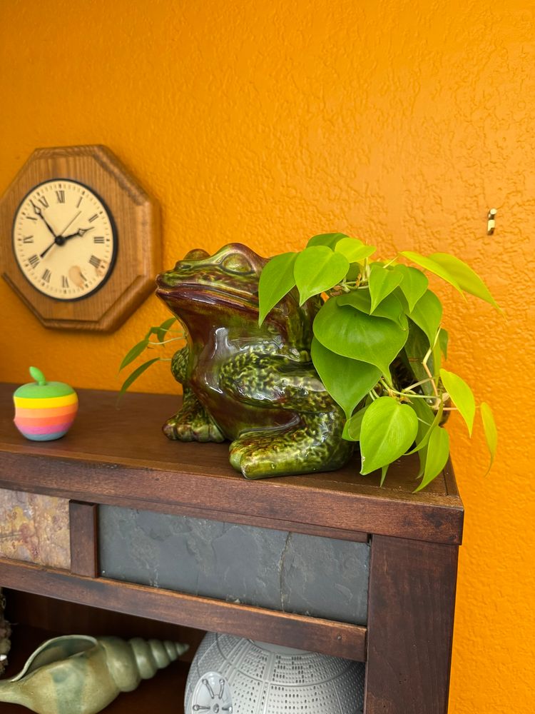 A late 70s green and brown ceramic toad planter with a pothos plant in it.