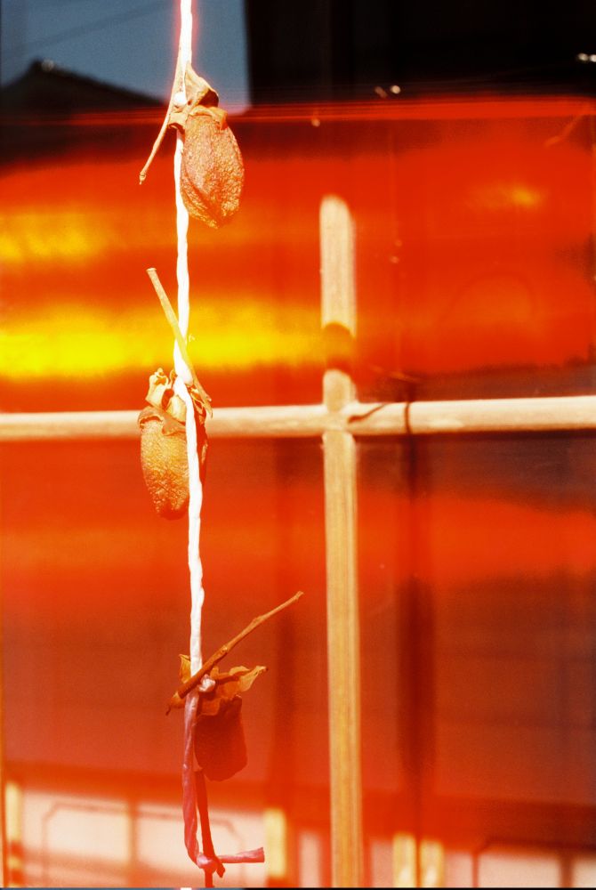 Getrocknete Früchte hängen an einem Faden vor einem Fensterkreuz. Das Bild hat durch einen starken Lightleak eine satte Rot-Tönung