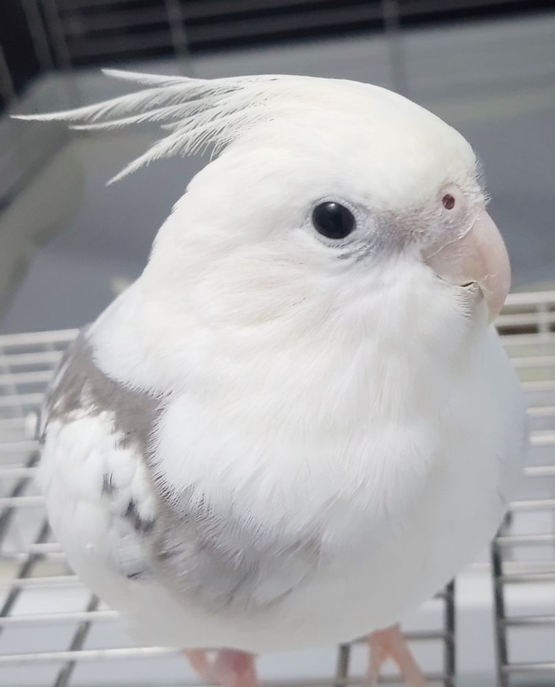 おはようございます