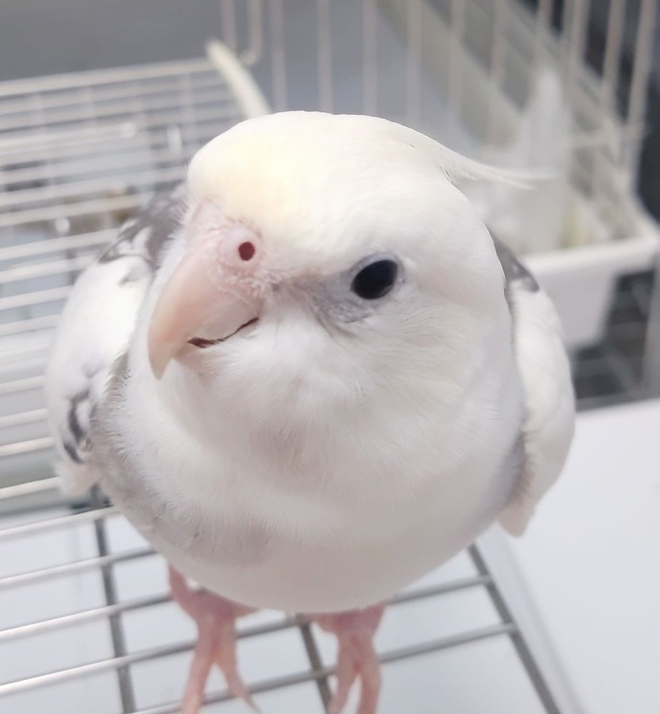 おはようございます