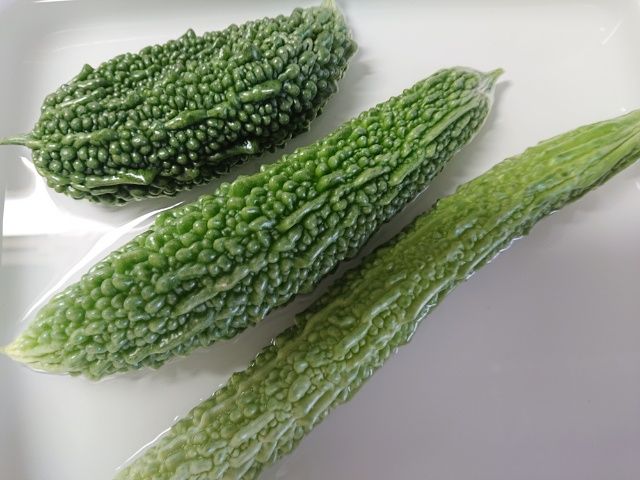 ゴーヤー収穫第二弾