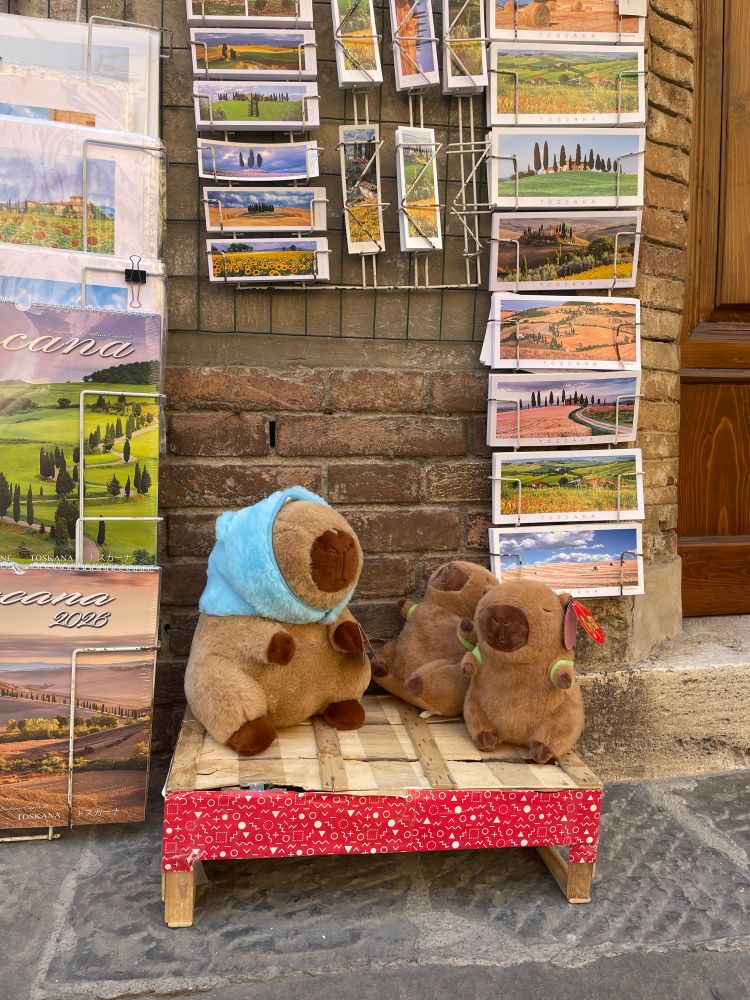 Cute capybara plushies sitting on the streets of Montalcino ❤️