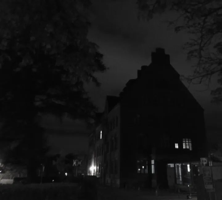 Black and white, academic building in spooky mode, and tree.