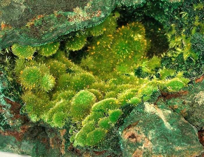 Pocket filled with light green spherical cuprosklodowskite clusters highlighted with yellow Guilleminite.
Photo: Robert Lavinsky 
https://commons.m.wikimedia.org/wiki/File:Cuprosklodowskite-Guilleminite-181021.jpg#mw-jump-to-license