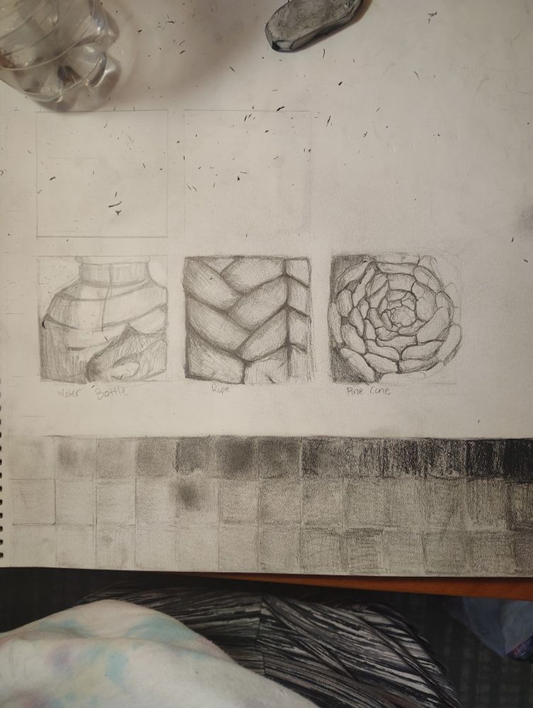 Graphite texture value drawings of a water bottle, rope, and a pinecone. With swatches of graphite in different hardiness 