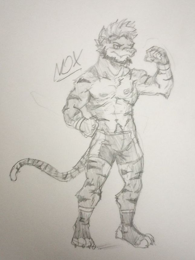 Nox the tiger flexing and looking Super cool in fight gear