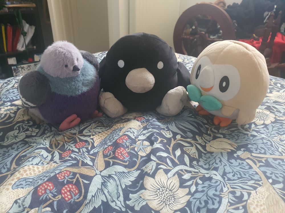 A pigeon plush, a crow plush, and a rowlet plush plot amongst themselves