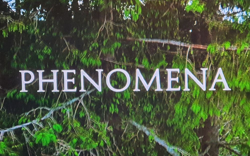 Titles for Phenomena, by Dario Argento