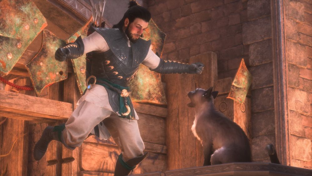 Dragon Age: The Veilguard screenshot.

A bearded person with long hair wearing armour jumping in front of a cat.