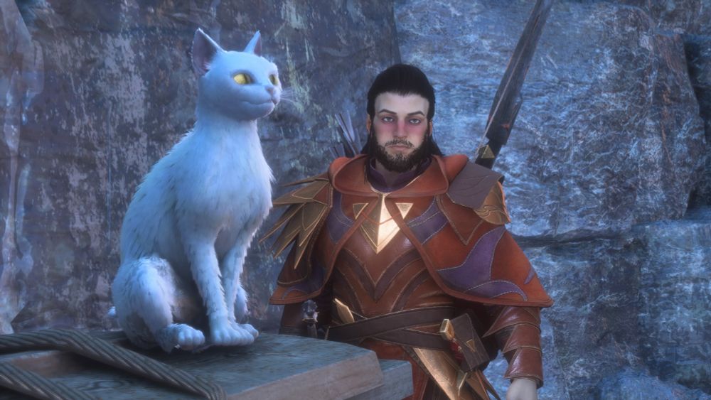 Dragon Age: The Veilguard screenshot.

A bearded person with long hair in armour stood behind a white cat.