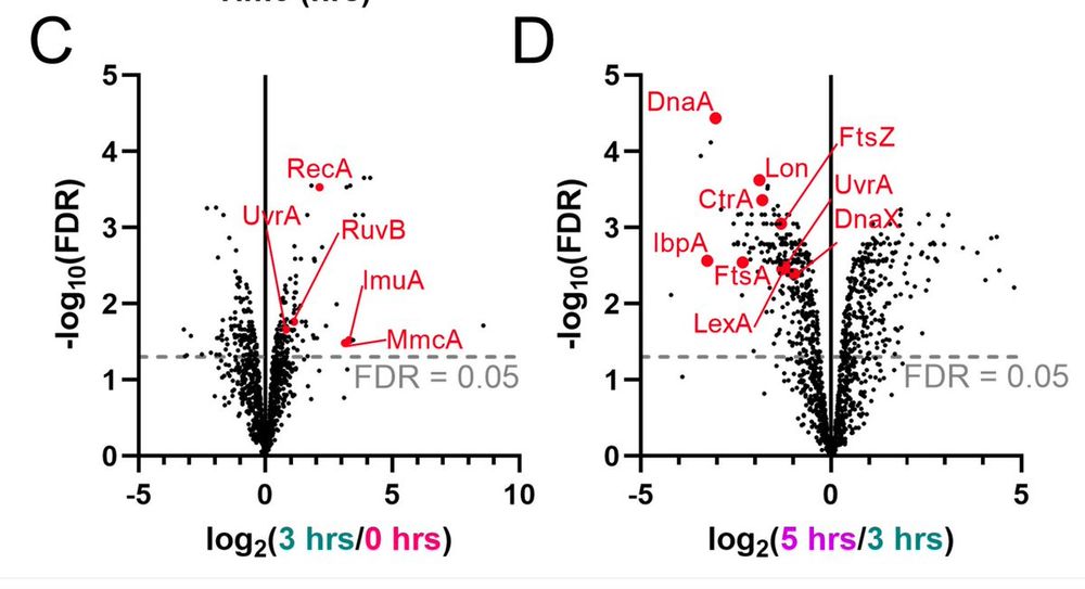 from https://journals.asm.org/doi/10.1128/jb.00206-23
