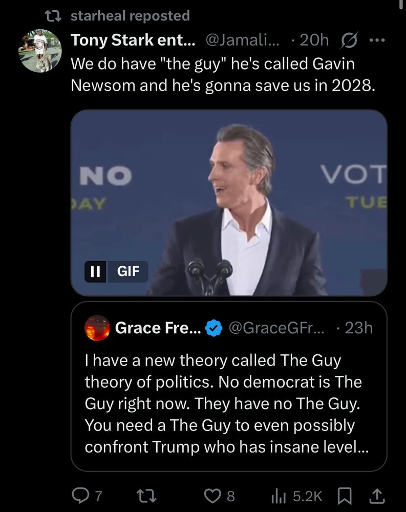 screenshot of a chain of posts from the everything app. Grace Freud has posted “I have a new theory of politics. No democrat is The Guy right now. They have no The Guy. You need a The Guy to even possibly confront Trump who has insane levels of The Guy-ness not seen since 2008 Obama.” This is quote tweeted by lowbie user Tony Stark Enthusiast with the caption “We do have "the guy" he's called Gavin Newsom and he's gonna save us in 2028.” accompanied by a gif of a leering Newsom. This has been reposed by MINOR celebrity astrologist “starheal”