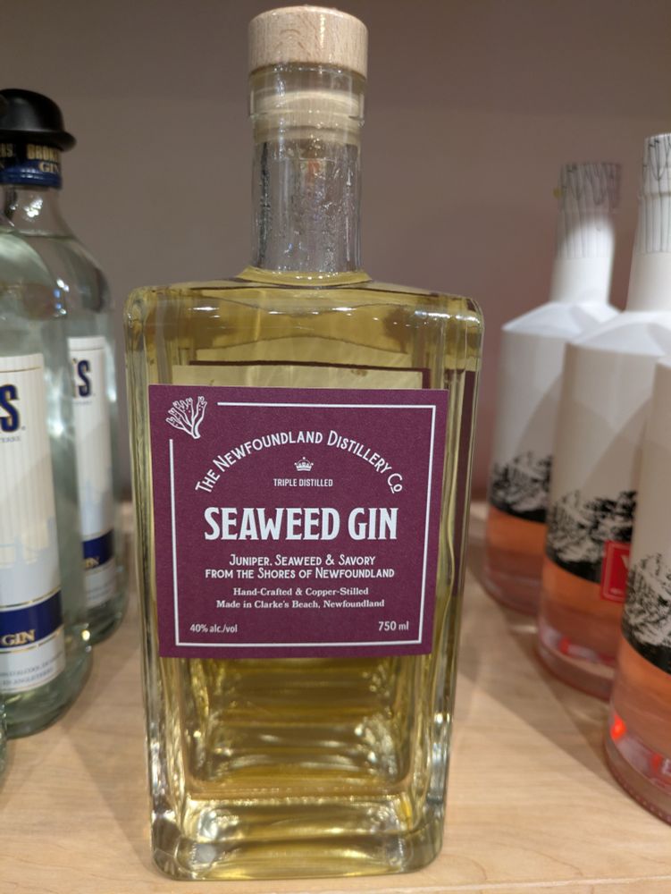 an incredibly suspicious-looking bottle of pale yellow liquid labeled SEAWEED GIN from the newfoundland distillery co. "juniper, seaweed, & savory from the shores of newfoundland."