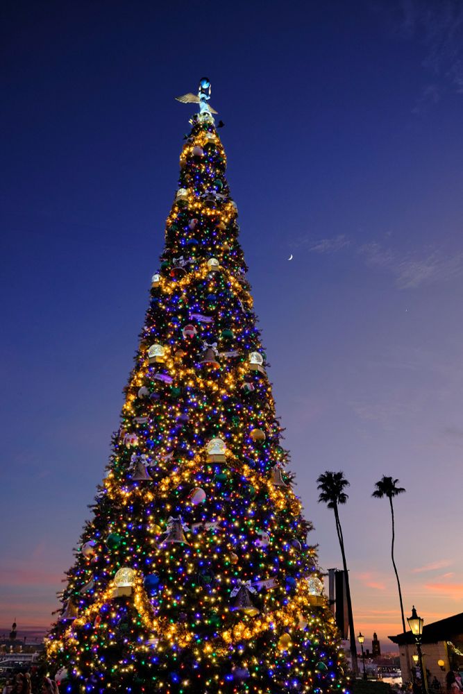 Large Christmas Tree with crescent moon at sunset