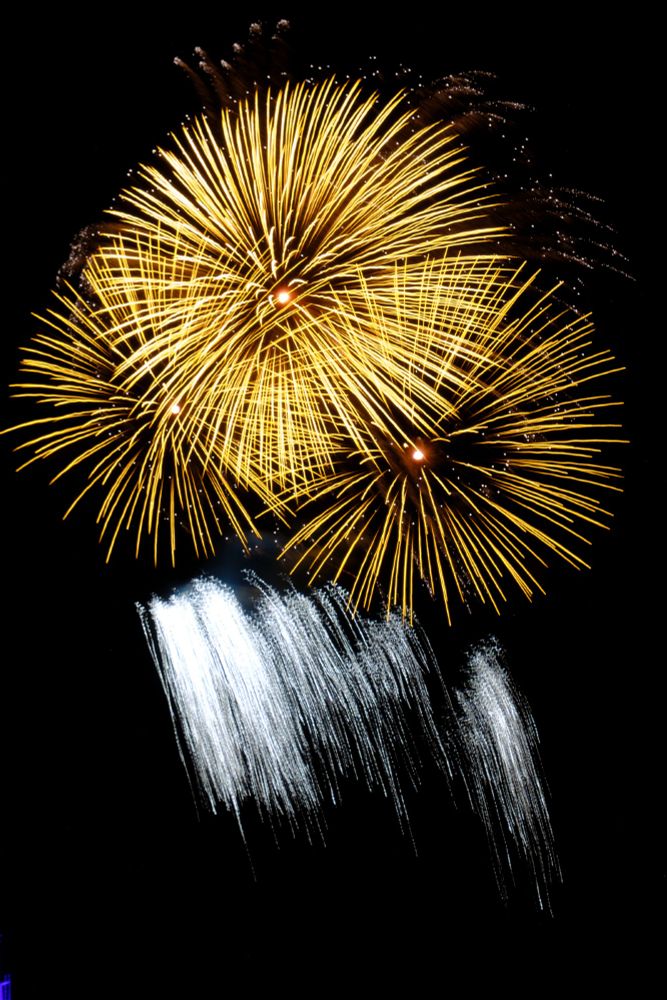 Yellow and white fireworks Minnie's Christmas Party 2024/11/19