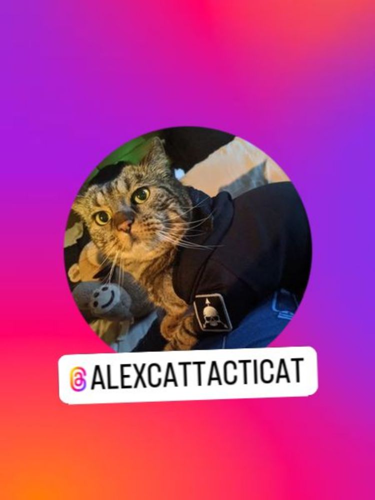 AlexCat the Tacticat (@alexcattacticat) • Instagram photos and videos