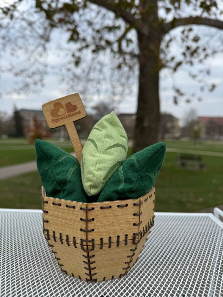 Wooden cup with three leaf pillows called Sproutmates