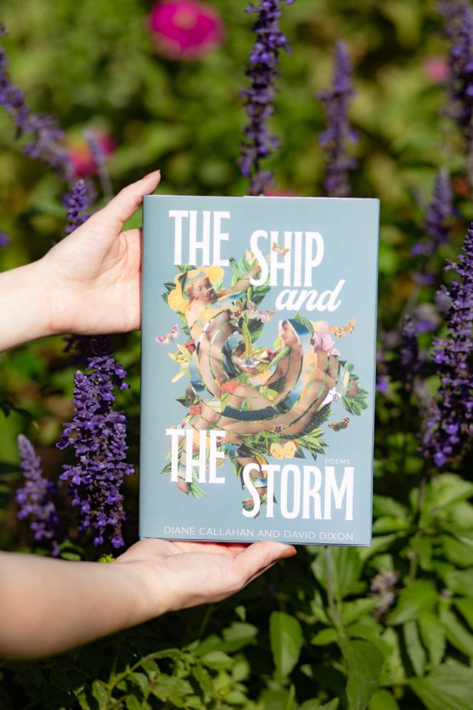 A pair of hands holding up the book "The Ship and the Storm" by Diane Callahan and David Dixon against a background of purple flowers.