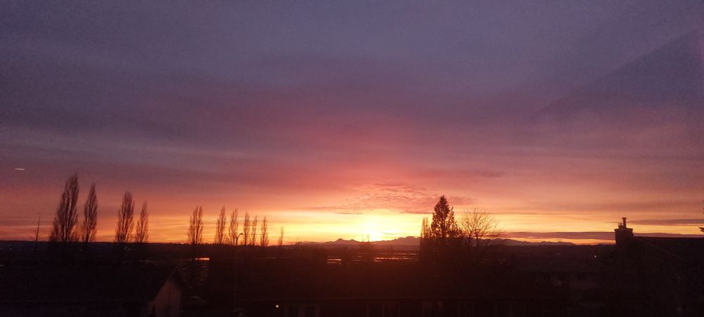 A sunset over some suburban house roofs, with tree silhouette against a purple, fuchsia,  and yellow sunset