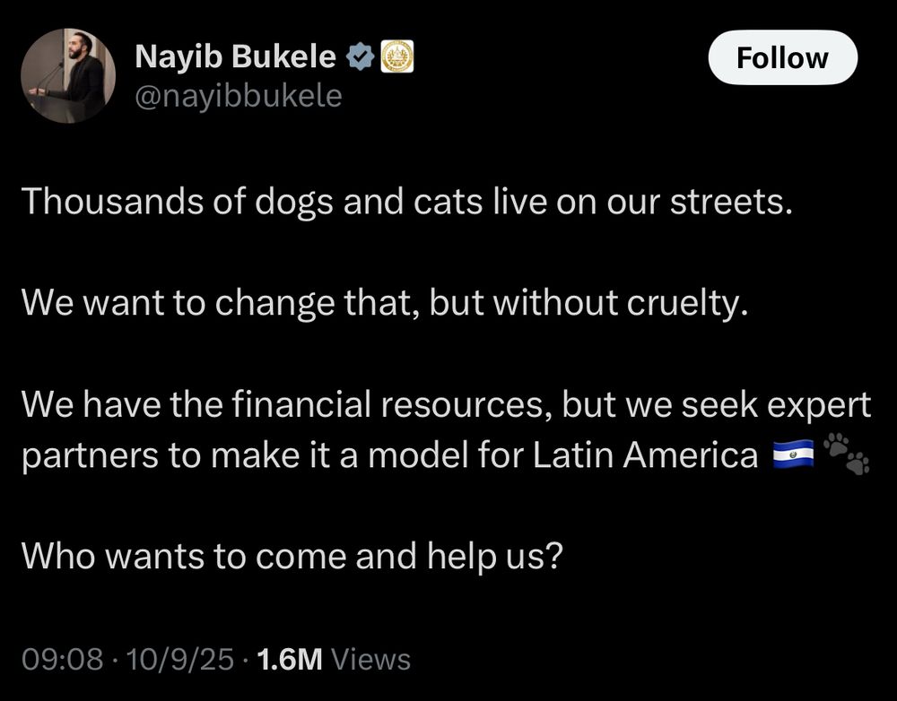 Nayib Bukele: Thousands of dogs and cats live on our streets.
We want to change that, but without cruelty.
We have the financial resources, but we seek expert partners to make it a model for Latin America
Who wants to come and help us?
