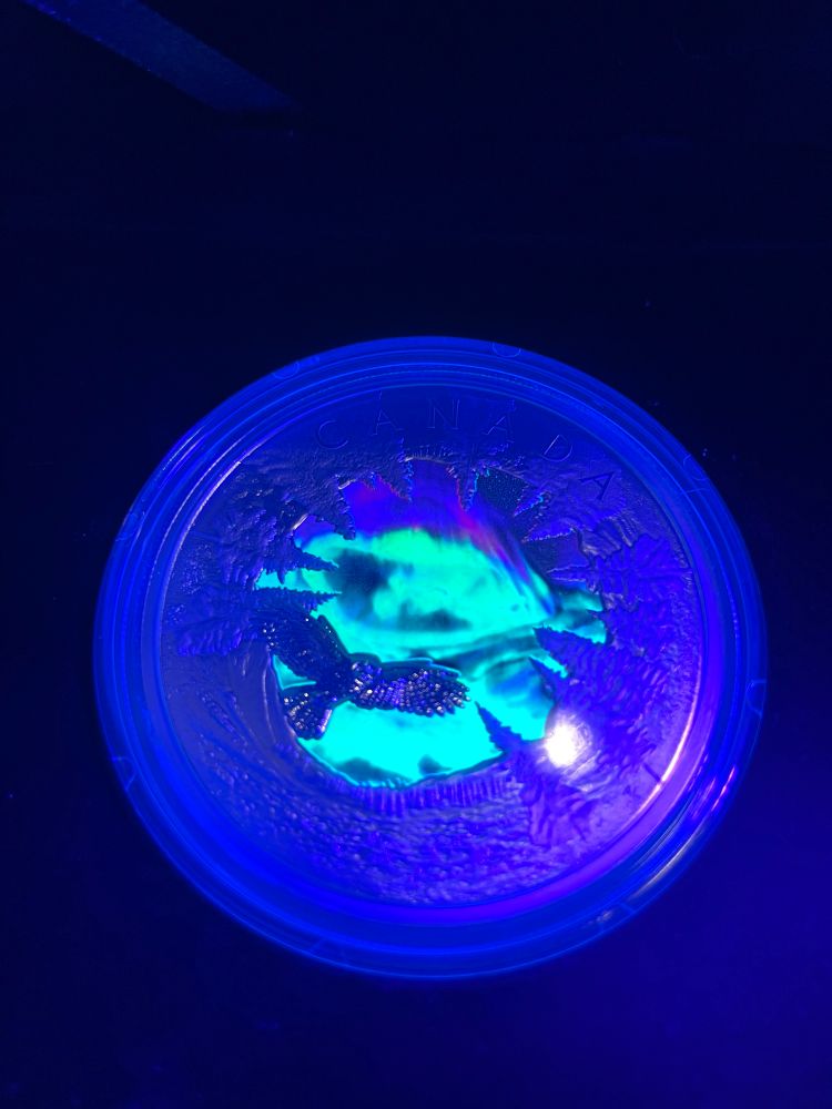 A silver coin with trees and tundra on the outer edges. An owl is flying in the center and aurora borealis is visible in the background. This time the aurora is glowing from a blacklight.