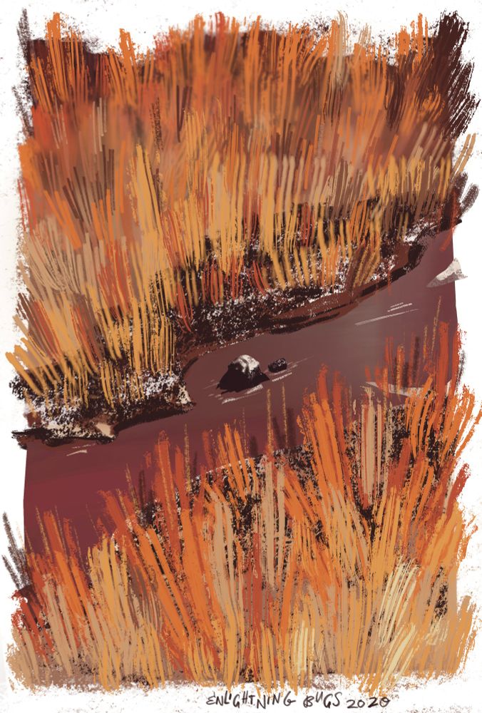 A brown stream running through dry red and yellow grass at golden hour.