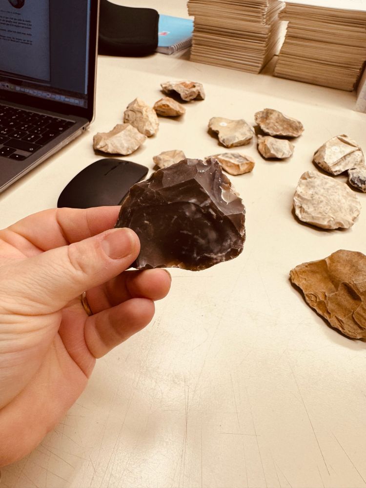 Nubian preferential flake on shiny dark flint
