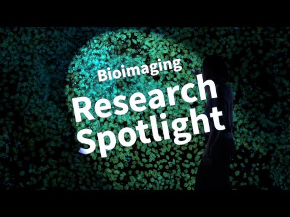 Bioimaging | UZH Research Spotlight
