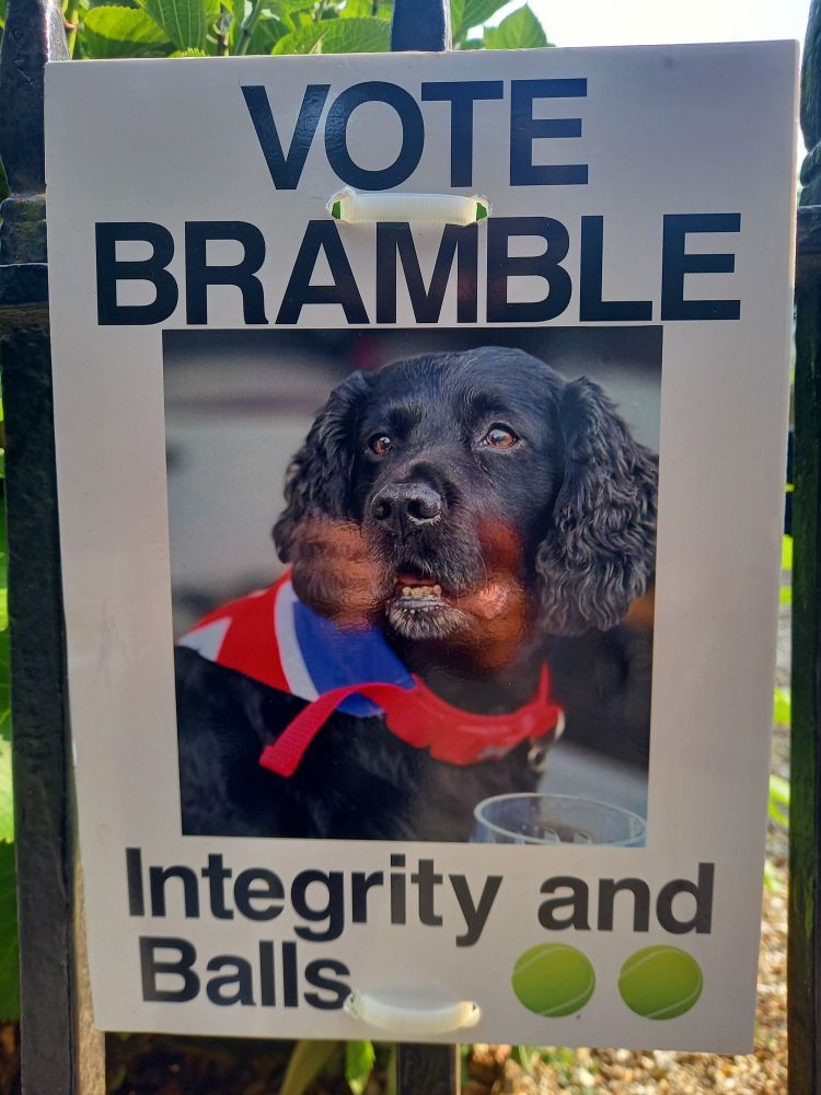 A campaign poster with a picture of a handsome black dog wearing a Union Jack bandana, with text reading, "VOTE BRAMBLE" "Integrity and balls", followed by a couple of tennis balls. 