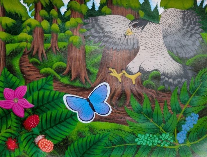 A painted nature scene with salmonberry, cranberry blue, western redcedar and an American goshawk
