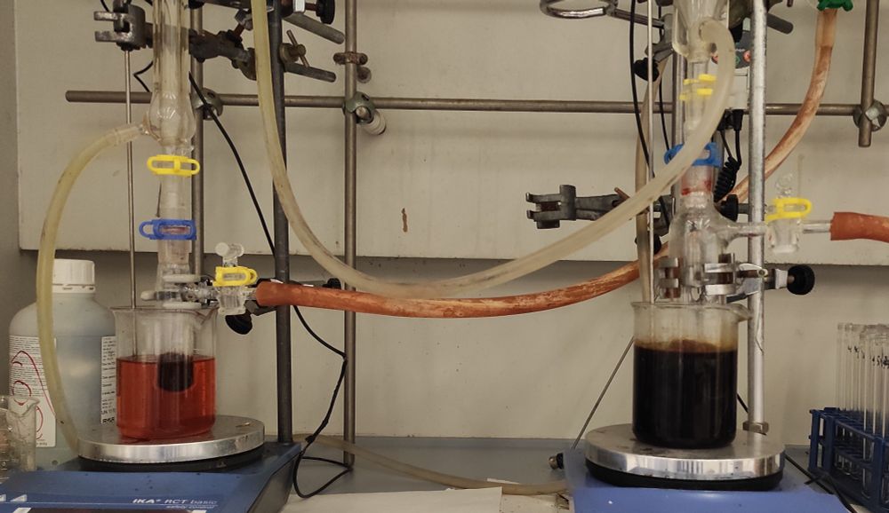 The picture shows the setup of two Schlenk beakers under reflux conditions in a high-temperature oil bath